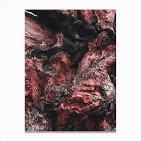 Artistic Wood Red Canvas Print