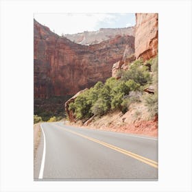 Zion National Park Roads Canvas Print