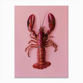 Lobster On Pink Background 1 Canvas Print