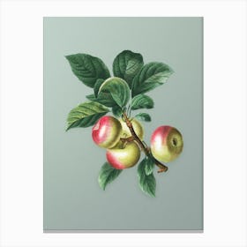 Vintage Apple Botanical Art on Mint Green Canvas Print
