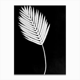 Black white palm leaf Canvas Print