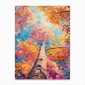 Autumn Tree 6 Canvas Print