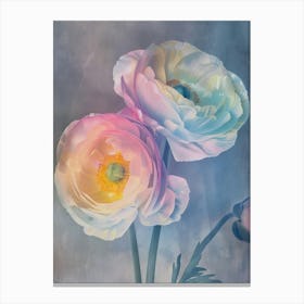 Iridescent Flower Ranunculus 2 Canvas Print