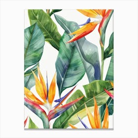 Bird Of Paradise Seamless Pattern 9 Canvas Print