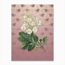 Vintage Oakleaf Hydrangea Botanical on Dusty Pink Pattern n.2393 Canvas Print
