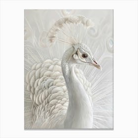 White Peacock 3 Canvas Print