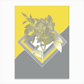 Vintage Fragrant Rosebush Botanical Geometric Art in Yellow and Gray n.153 Canvas Print