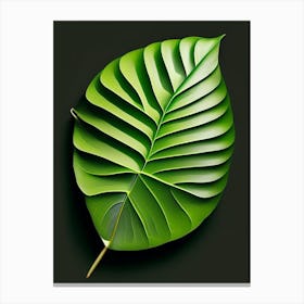 Kiwi Leaf Vibrant Inspired 1 Canvas Print