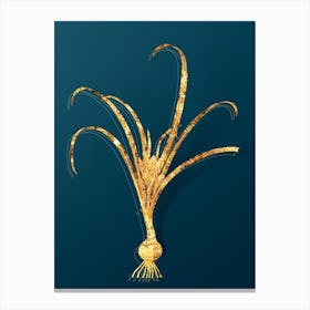 Vintage Yellow Autumn Crocus Botanical in Gold on Teal Blue Canvas Print