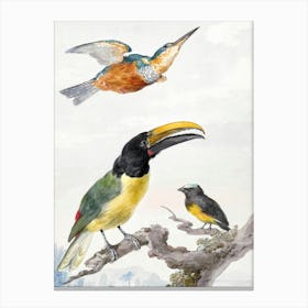 Vintage Bird Art Print_2835721 Canvas Print