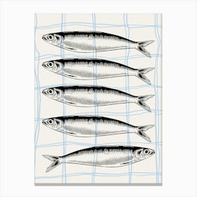 Sardines Fish Art Print Canvas Print