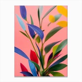 Baby Rubber Plant Colourful Illustration Canvas Print