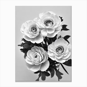 Ranunculus B&W Pencil 2 Flower Canvas Print