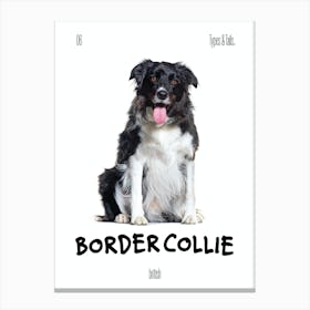 Border Collie - Dog - British - Typography - Art Print - Retro - Canine - White & Black - Minimalist  Canvas Print