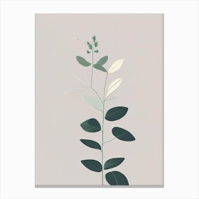 Catnip Herb Simplicity Canvas Print
