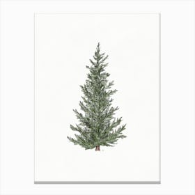 Christmas Tree Watercolor Canvas Print
