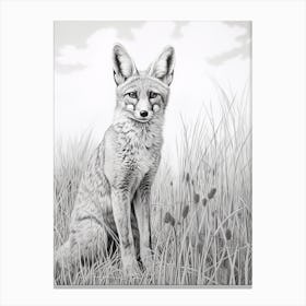 Bengal Fox In A Field Pencil Drawing 3 Canvas Print
