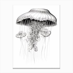 Comb Jellyfish Drawing 3 Canvas Print