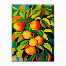 Peach Fruit Vibrant Matisse Inspired Painting Fruit Canvas Print