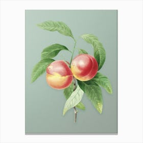 Vintage Peach Botanical Art on Mint Green n.0289 Canvas Print