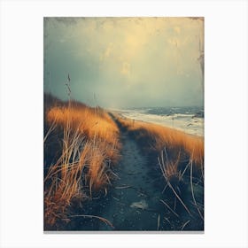 Path To The Beach Canvas Print