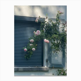 Img 5870 Pink roses near the window Canvas Print