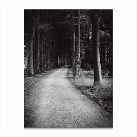 Dark Forest Path // The Netherlands :: Nature Photography Canvas Print