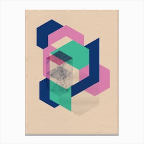 Hexagonal Layers Canvas Print