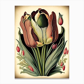 Tulip Wildflower Vintage Botanical Canvas Print