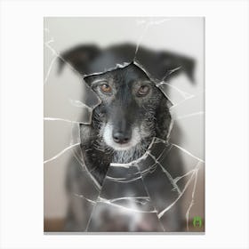 Dog Through A Broken Window 20170604 1058rt1pub Canvas Print