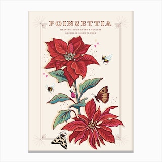 December Birth Flower Poinsettia On Cream Canvas Print