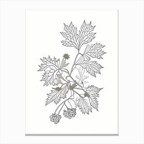 Hawthorn Herb William Morris Inspired Line Drawing 1 Canvas Print