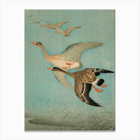 Japanese Ukiyo-E Geese In Flight Canvas Print