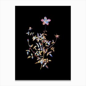 Stained Glass Single Dwarf Chinese Rose Mosaic Botanical Illustration on Black n.0326 Canvas Print