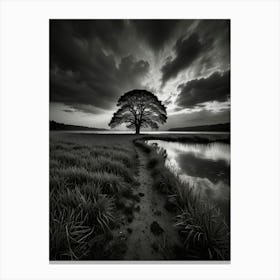 Lone Tree 2 Canvas Print