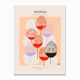 Botanic Collection - Peach Fuzz - Proteas Flowers Art Print Canvas Print