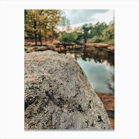 Rock By A River Canvas Print