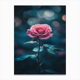 Pink Rose 76 Canvas Print