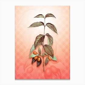 Cornelian Cherry Vintage Botanical in Peach Fuzz Tartan Plaid Pattern n.0237 Canvas Print