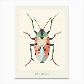 Colourful Insect Illustration Boxelder Bug 9 Poster Canvas Print