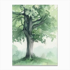 Beech Tree Atmospheric Watercolour Painting 3 Canvas Print
