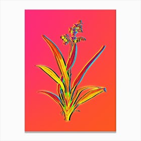 Neon Flax Lilies Botanical in Hot Pink and Electric Blue n.0074 Canvas Print