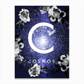 Cosmos - Starry Night and Moon #16 Canvas Print