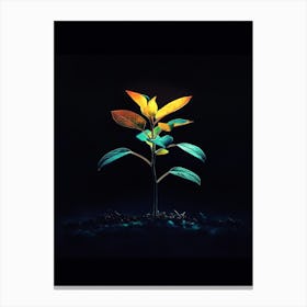 Plant In The Dark 25 Canvas Print