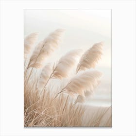 Pampas Grass Poetry Canvas Print