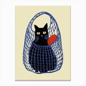 Black Cat In A Blue Net Bag With One Orange Canvas Print