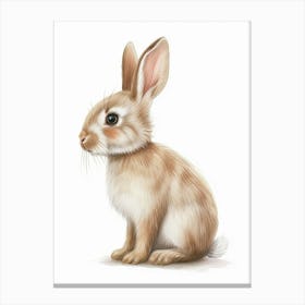 Britannia Petite Rabbit Kids Illustration 2 Canvas Print