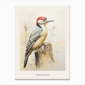 Vintage Bird Drawing Woodpecker 3 Poster Canvas Print
