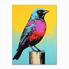 Andy Warhol Style Bird Cowbird 1 Canvas Print