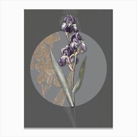 Vintage Botanical Dalmatian Iris on Circle Gray on Gray n.0003 Canvas Print
